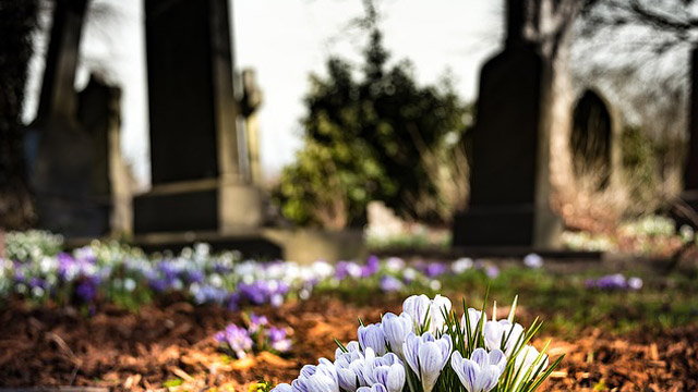 photo cimetière